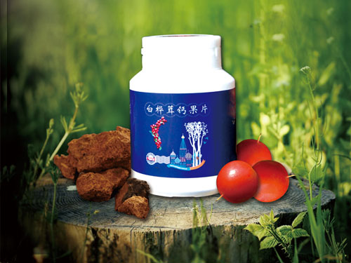 白桦茸提取物