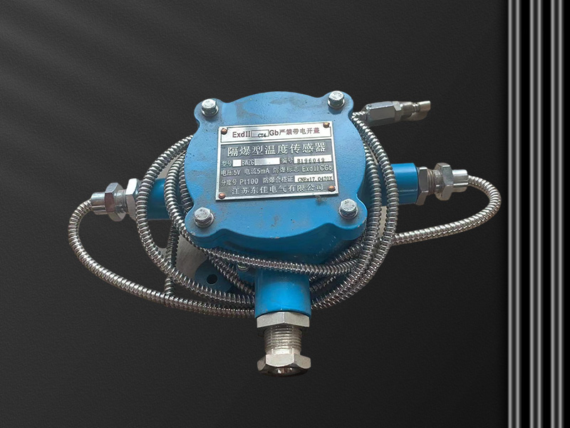 防爆型温度传感器