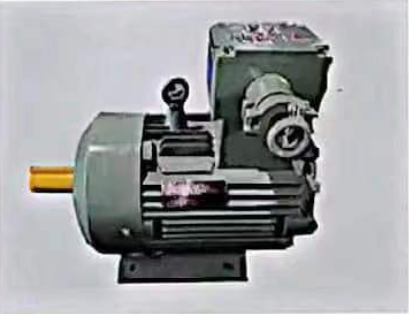 YBZ防爆起重电机