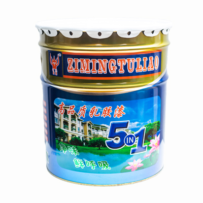 琦雅五合一高品质乳胶漆