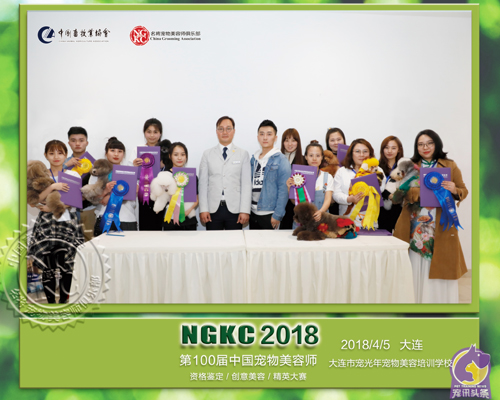 第100届中国宠物美容师8