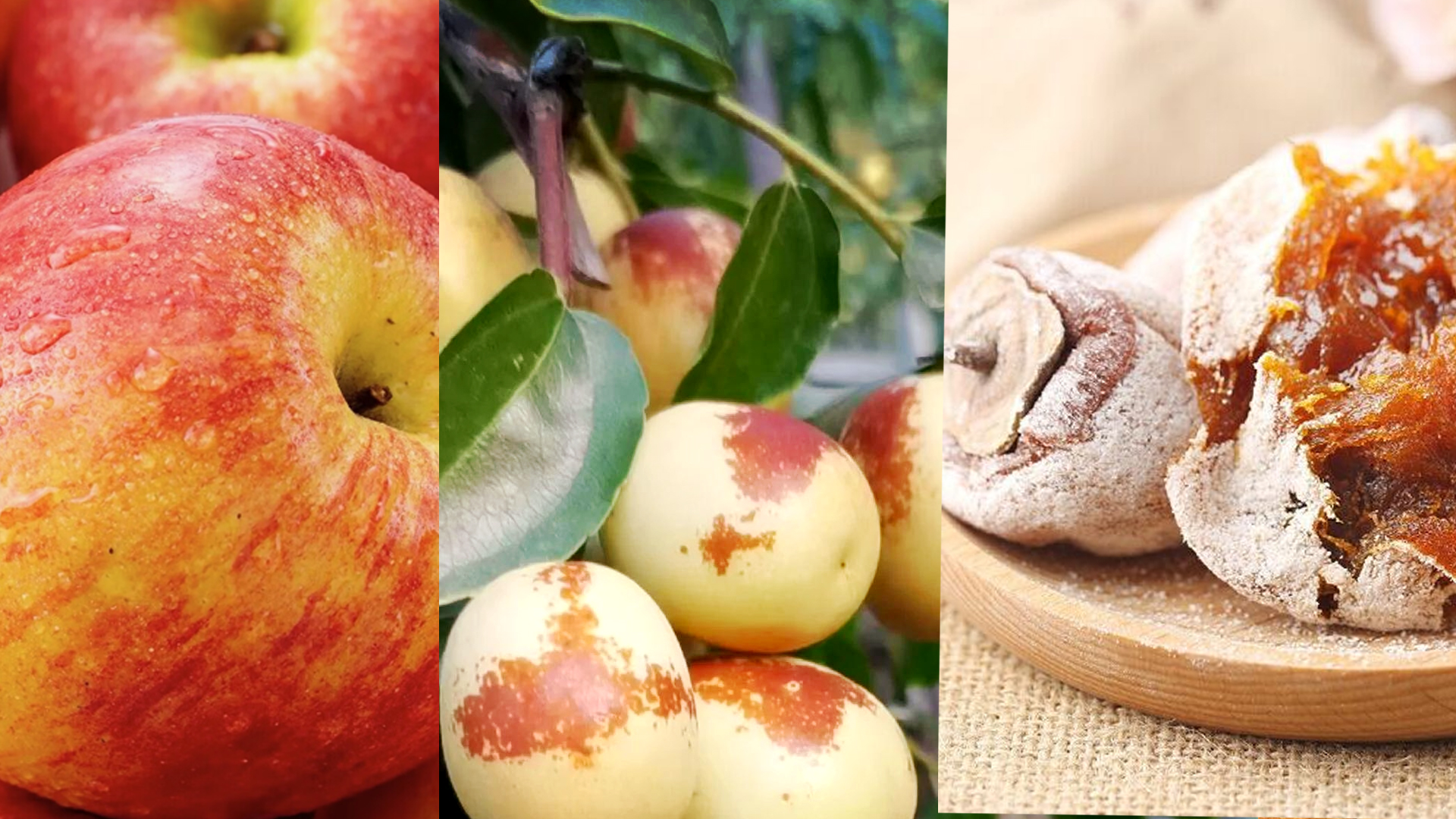 山西及太原APP开发制作,山西及太原物联网开发,山西及太原APP开发公司,山西及太原APP推广营销,山西及太原小程序开发公司,太原做网站