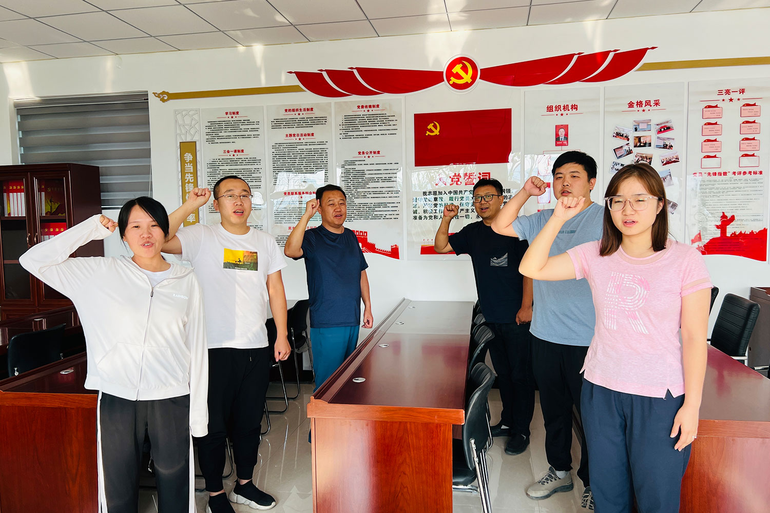 党主题活动日重温入党誓词