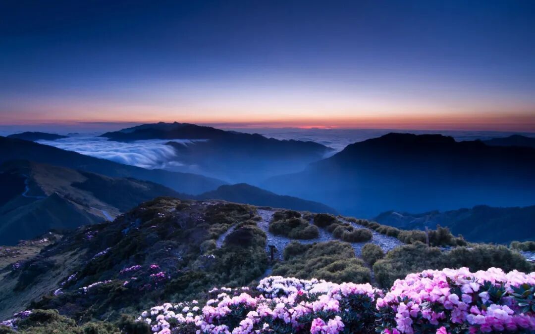 杀虫剂推荐—双丙环虫酯（afidopyropen）