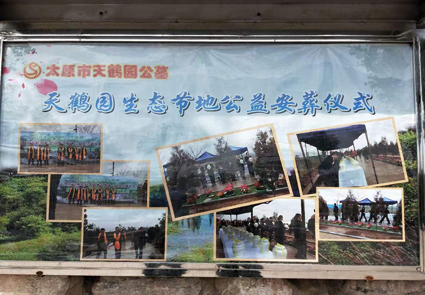 陵园展示