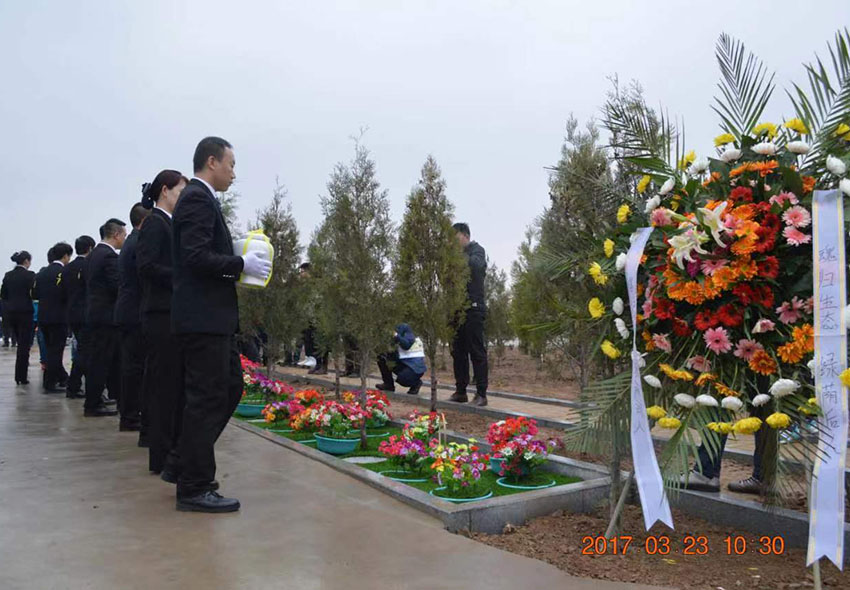 清明代祭