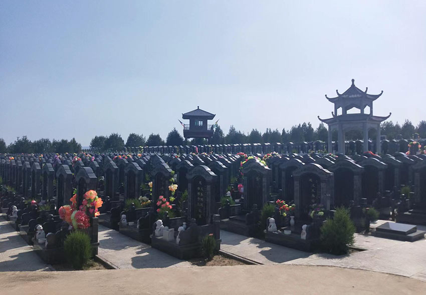 墓区展示图