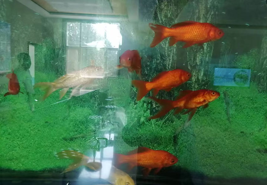 陵园展示