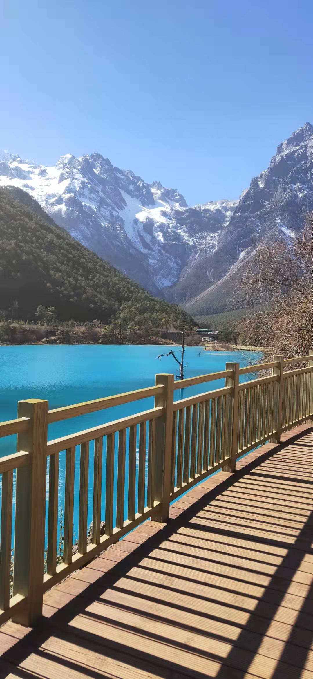 	河道护栏