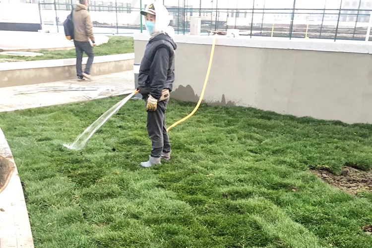 合作案例
