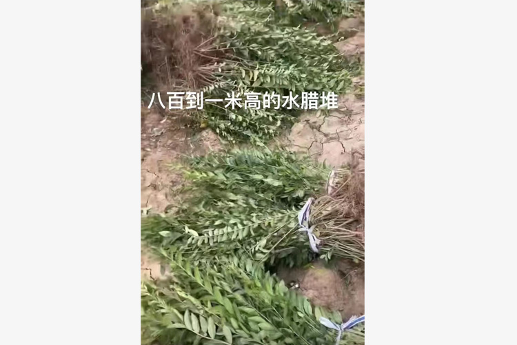 水腊堆