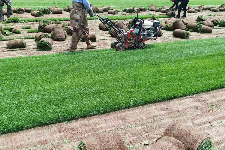 合作案例