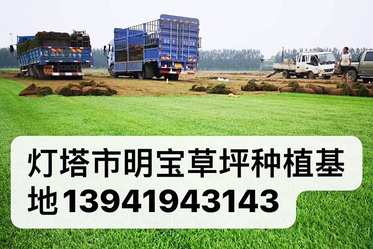 合作案例