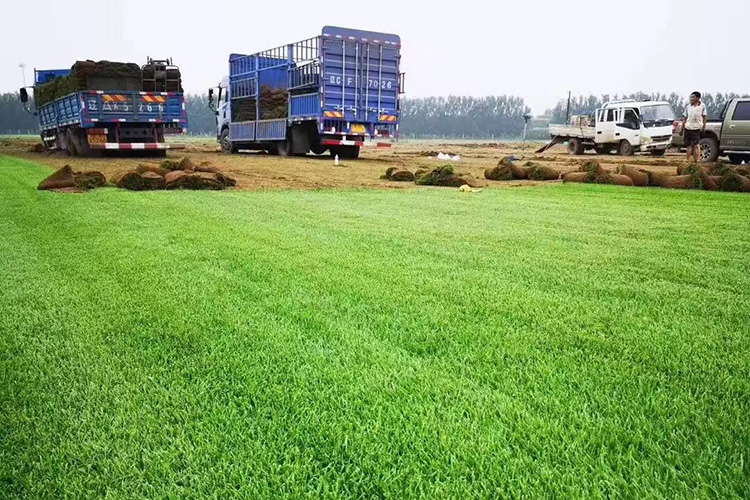 合作案例