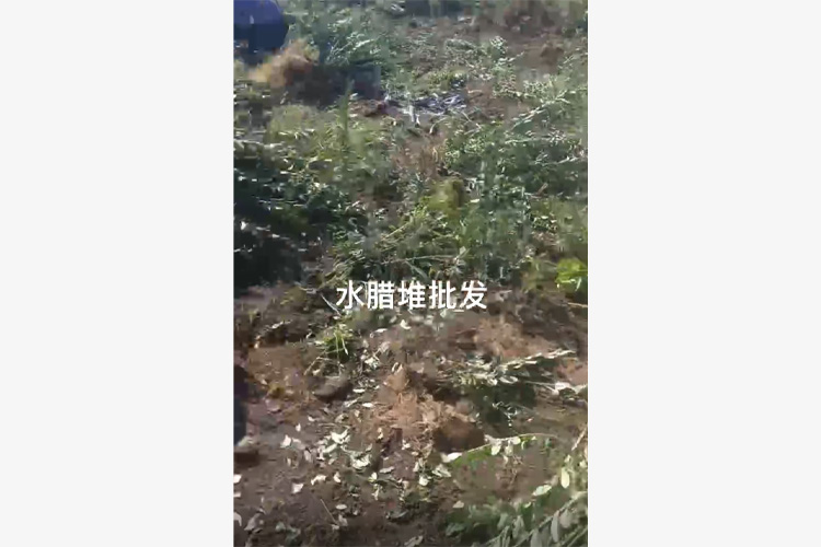 水腊堆