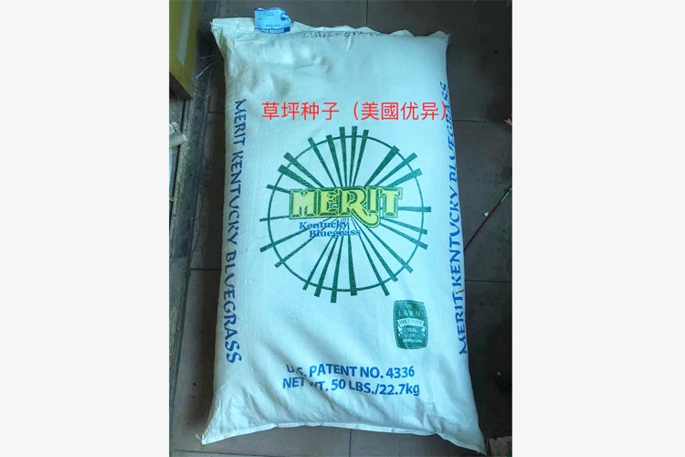 美国优异草坪种子
