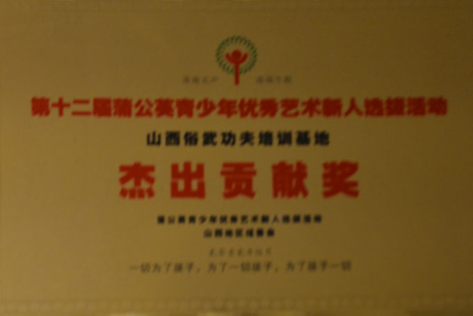 荣誉展示