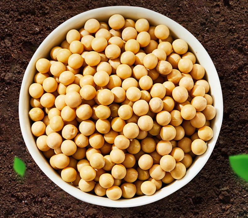  Sunshine introduced CCD, a kind of color selection device for rice processing to the selection of soybeans, which is the first time in China to use in the soybean cleaning. Thanks to the new techniques, the purity of soybeans can be as high as 99.8%.