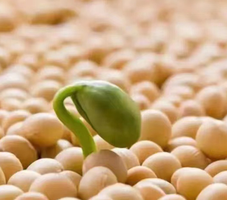 We pass the organic certification of IBD