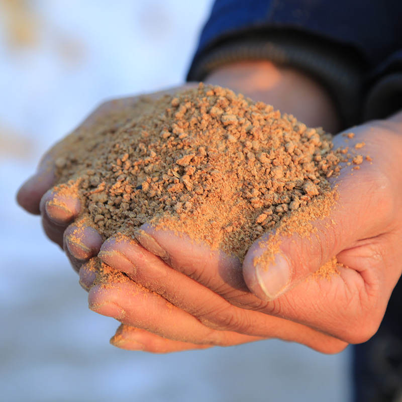 Organic Soybean Meal
