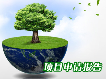 项目申请报告