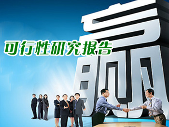 可行性研究报告