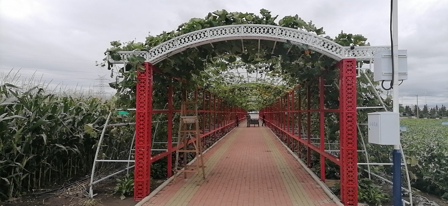 嫩江市林业局科技园长廊
