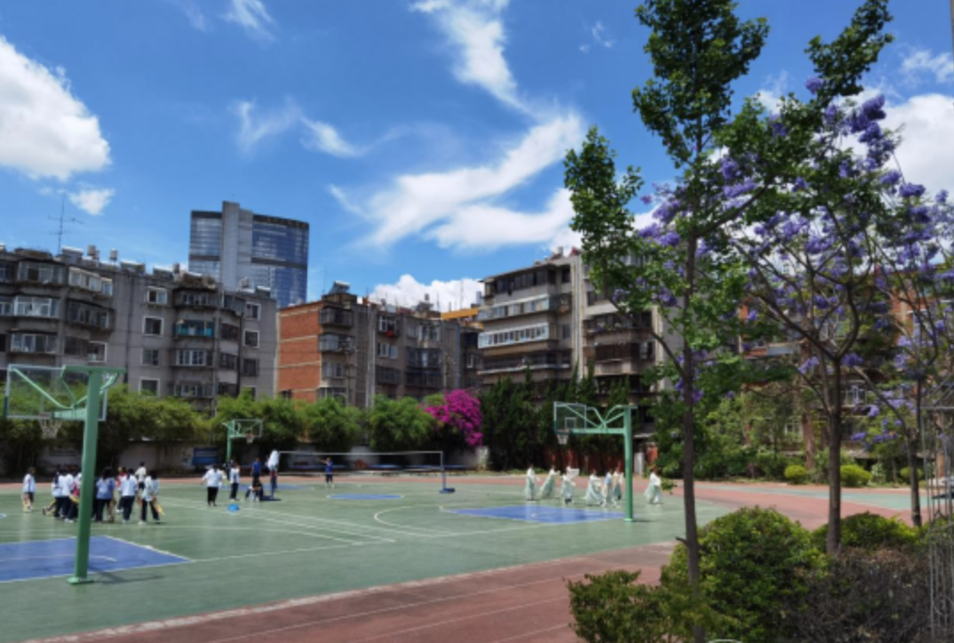 教育部出台《关于*推进健康学校建设的 指导意见》