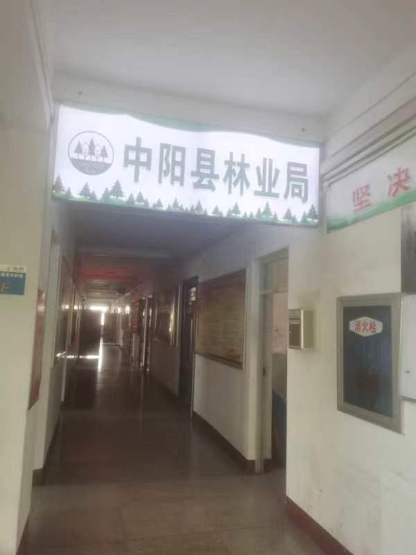 中阳县:主要领导找人出面挂靠资质插手造林工程发生事故！