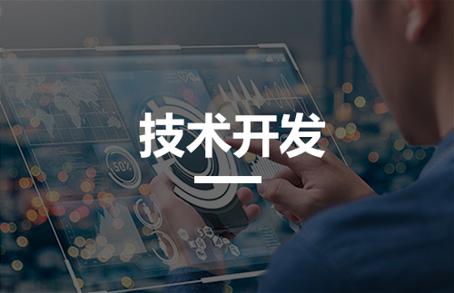 技术开发