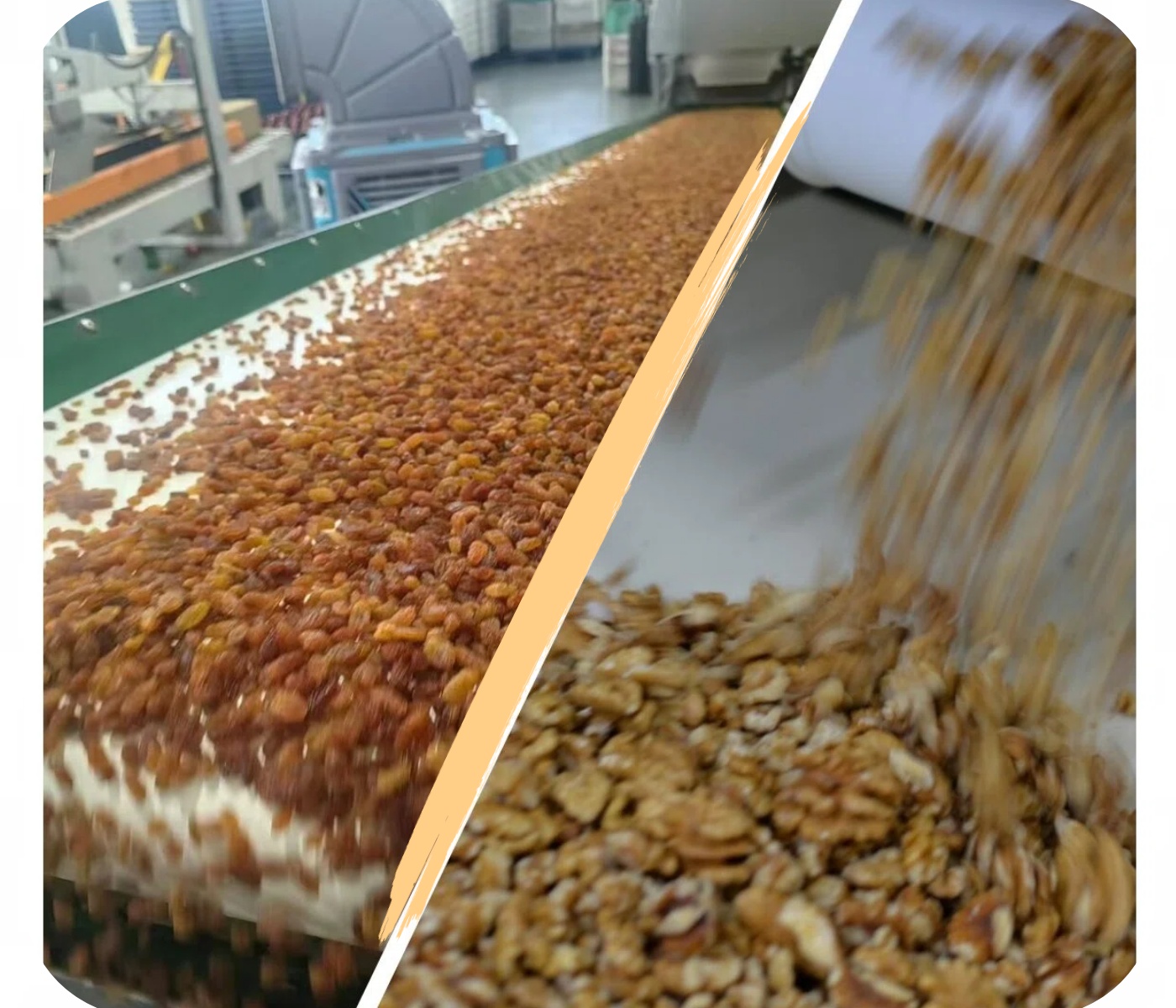 首页关于我们图片