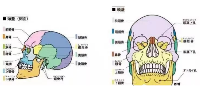 264529