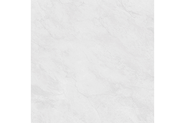 AD8805