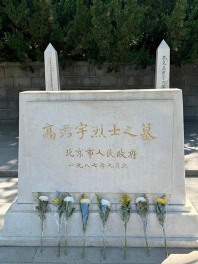黄白菊花依次排列摆放在高君宇烈士墓前