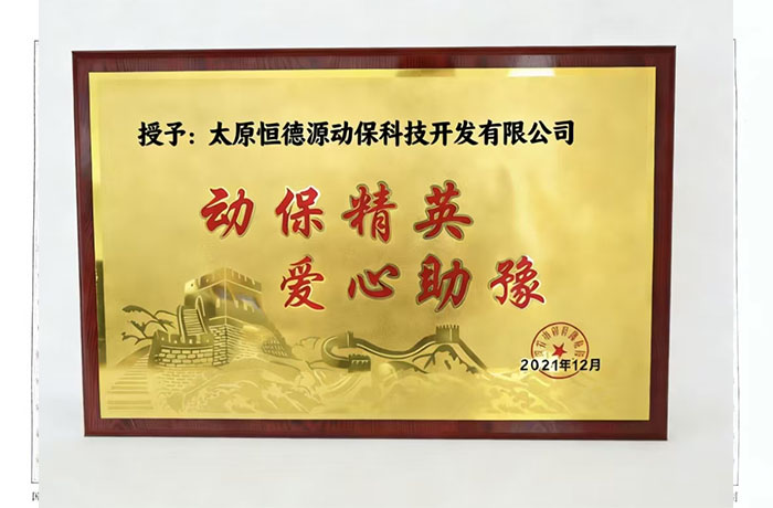 动保精英