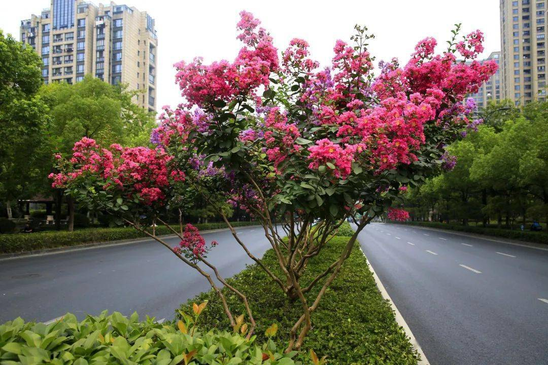 b7854df1a5edadc35f0caa2eb76175e8.png 1432138