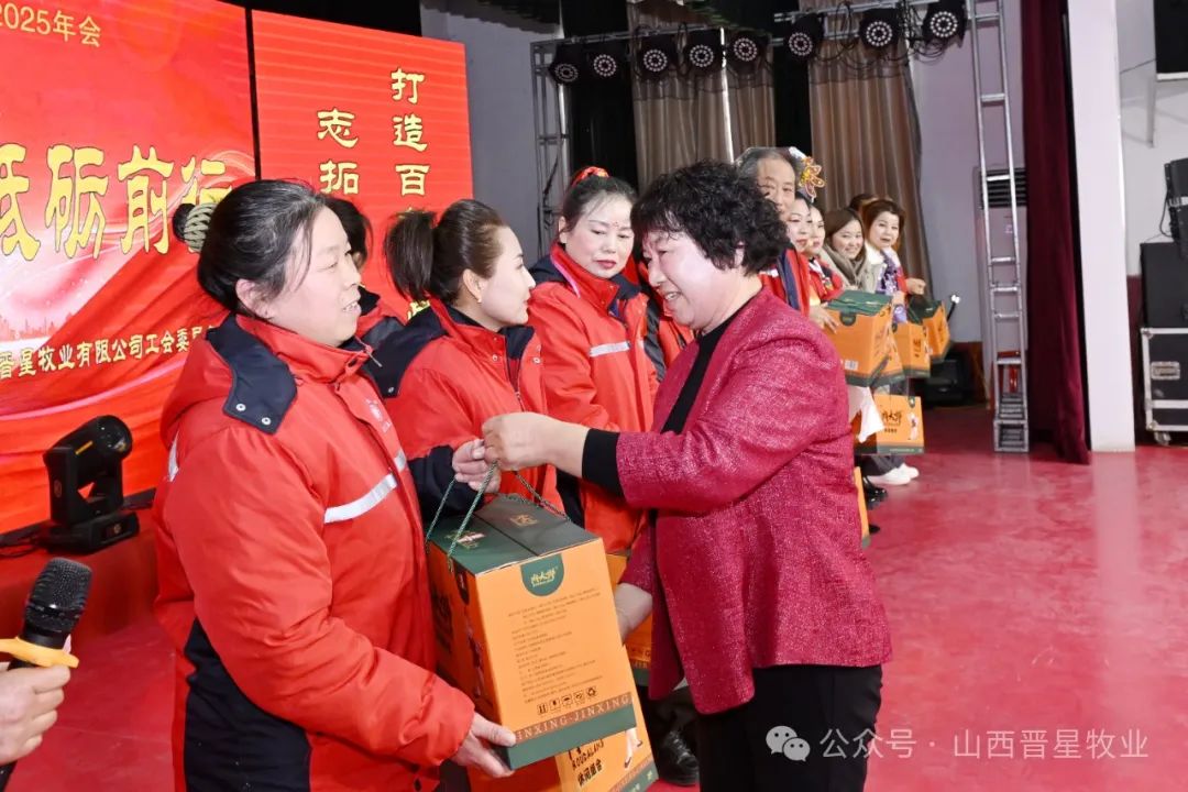 向妇女们致敬