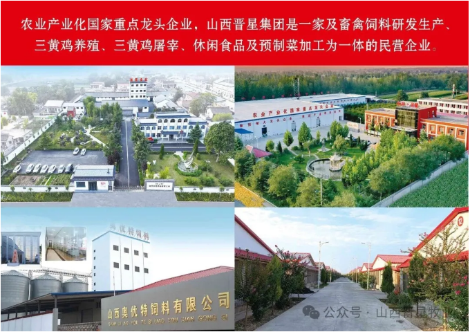 卤时光一一致晋星畜业集团