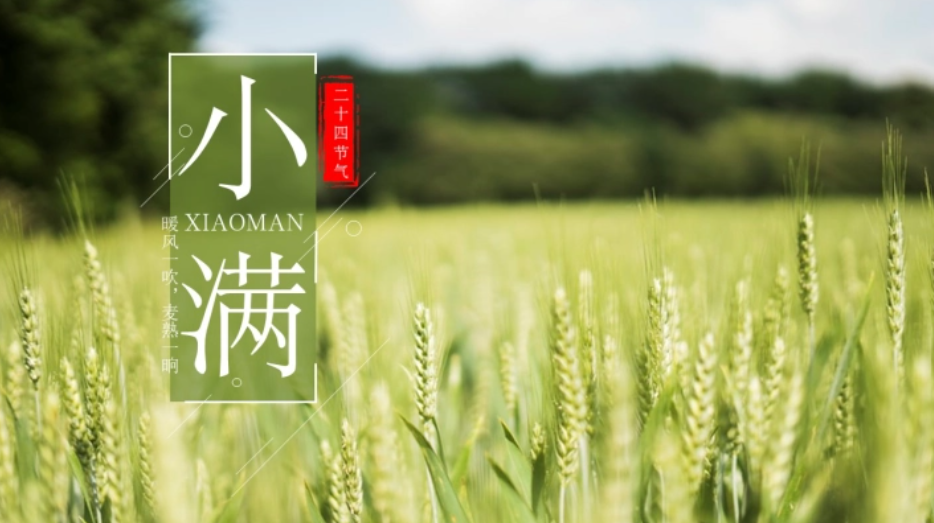 豐收在望 盈而未滿 