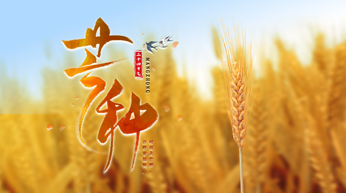 人生耕耘  初见锋芒