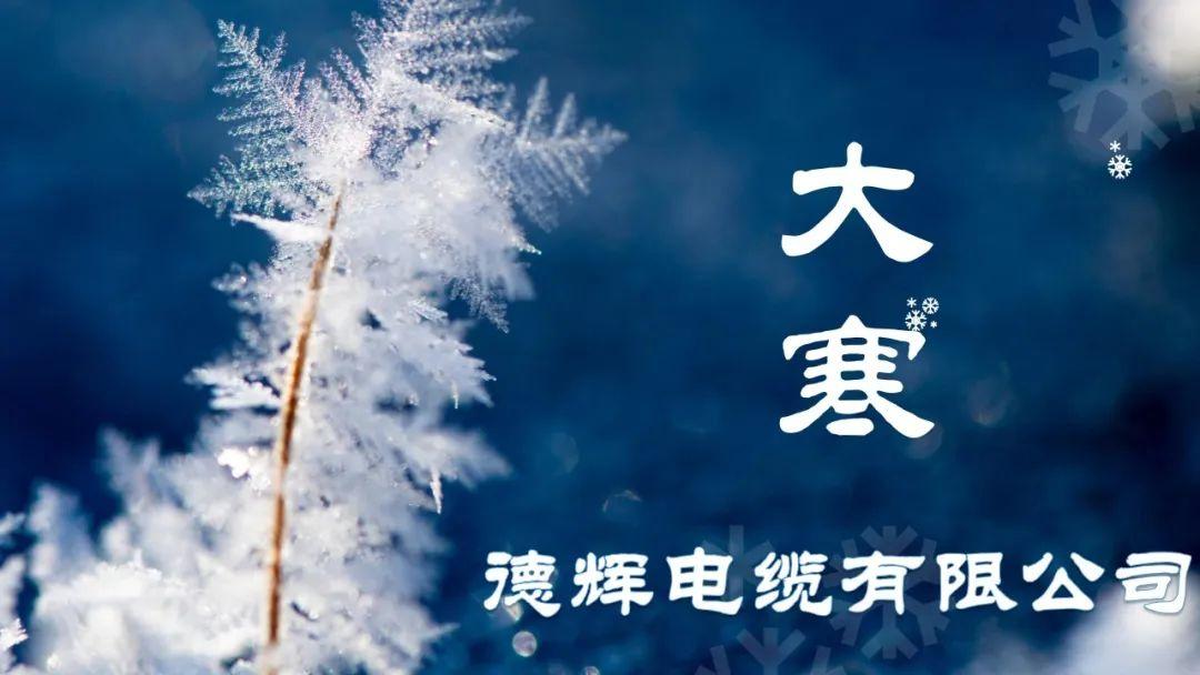岁末大寒至 静候春归来