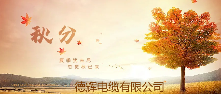 岁月悠悠，一叶知秋