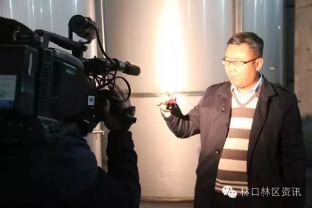 《新闻在线》走进绿都林韵