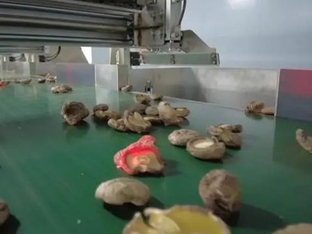 国内分拣香菇机器人“上岗” 0.8秒智能抓取一枚香菇