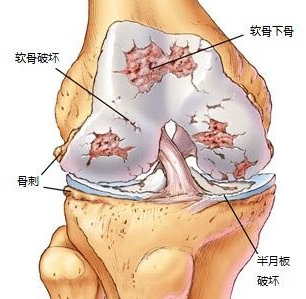 4df0c5b4a62b95e67ec86842c9e3b8dc.jpeg 62221