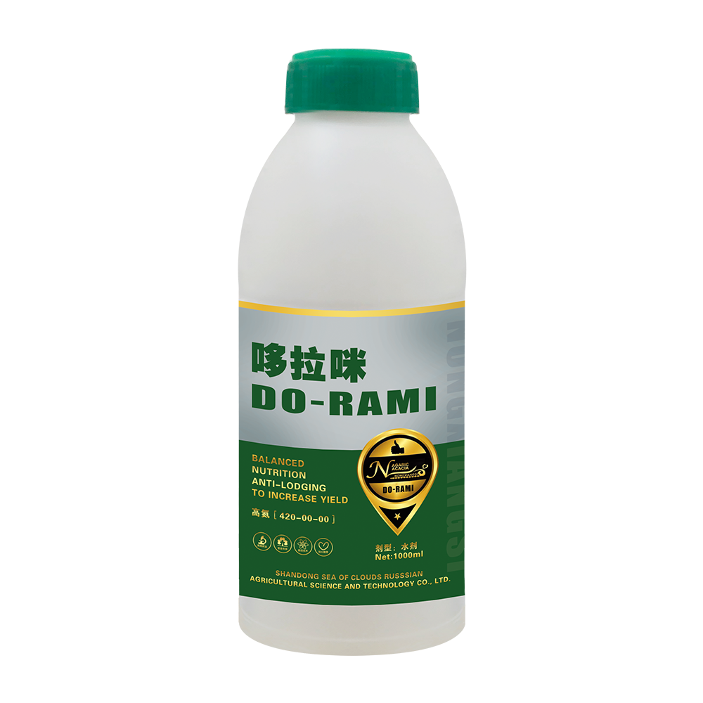 哆拉咪420-00-00