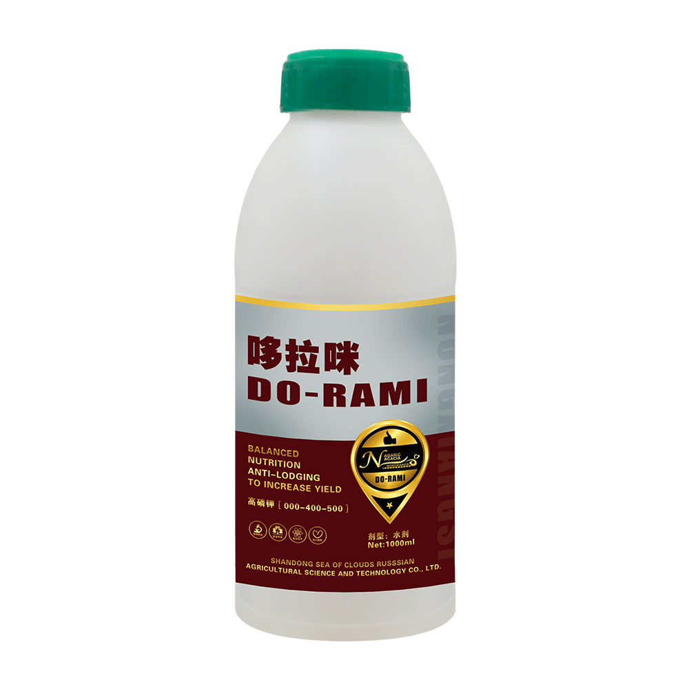 哆拉咪000-400-500