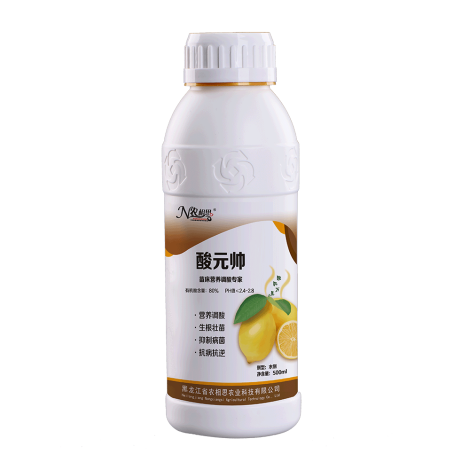 酸元帥