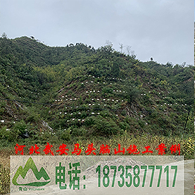 育林板河北武安马头脑山施工案例