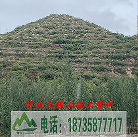 育林板河北天梯山施工案例